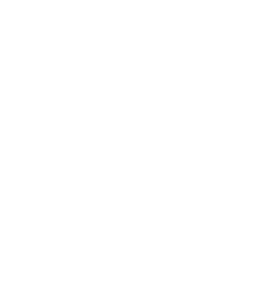 Elfino Family Group GmbH